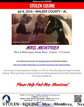 STOLEN EQUINE Mrs. Montivea,  Near Jasper, AL, 355504